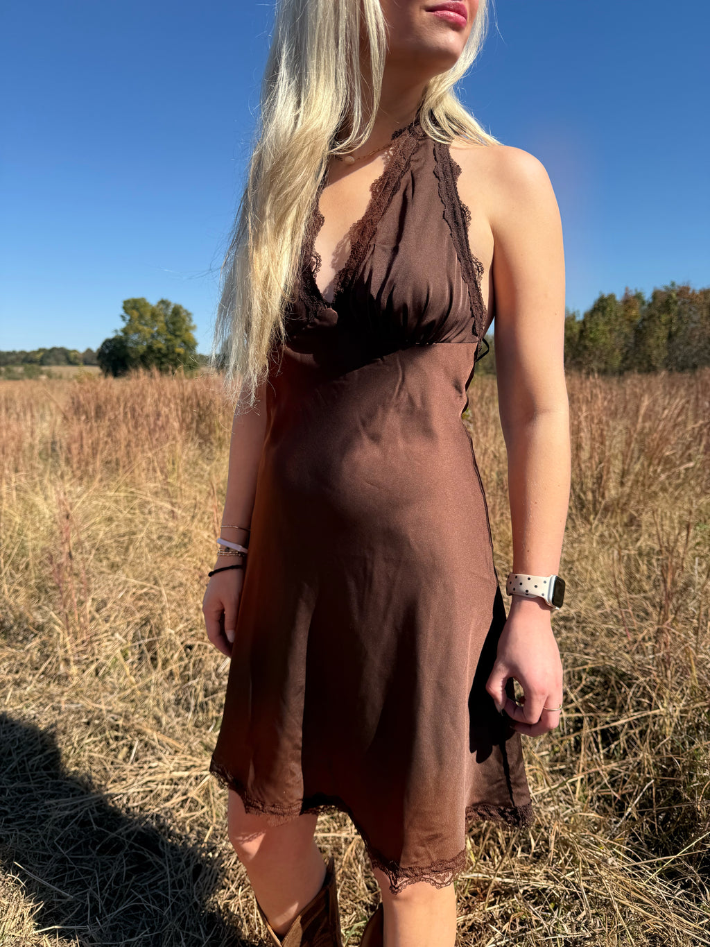 Mocha Desire Dress